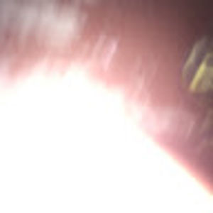 Meet your Posher, Donald